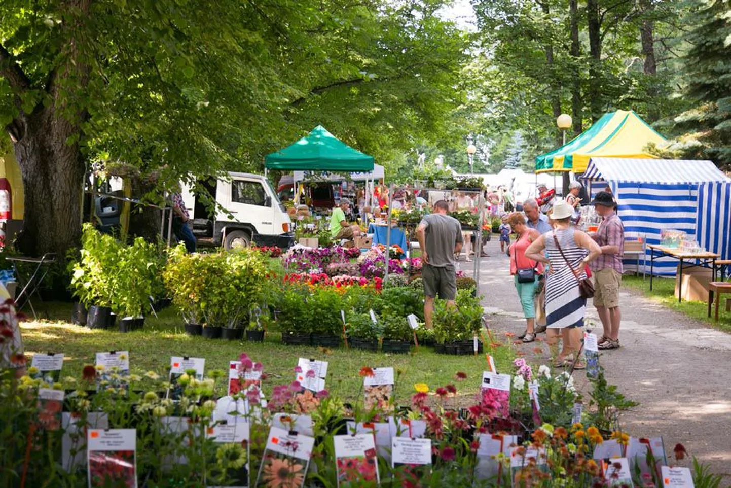 Eesti talupäevad Jänedal on paljudele oodatud suvine sündmus. Ka eelmisel aastal külastas talupäevi rohkelt rahvast.