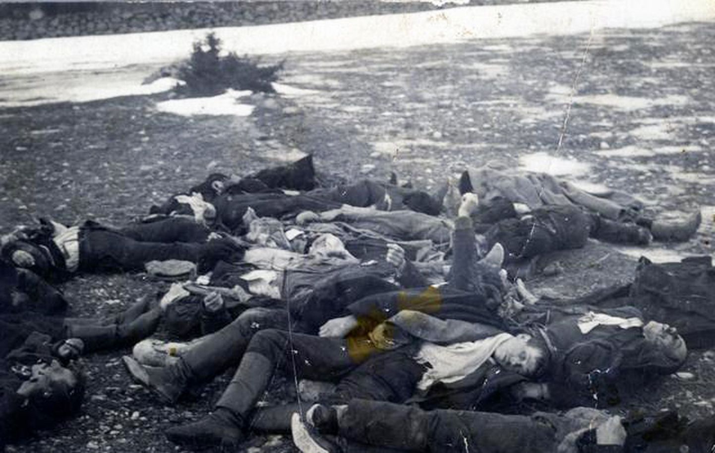 TAPETUD: Mässu ajal karistussalga poolt tapetud Upa karjamaal.
Martin Jakobsoni foto.