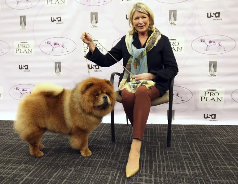 Martha Stewart koeraga. Reuters / Shannon Stapleton / Scanpix