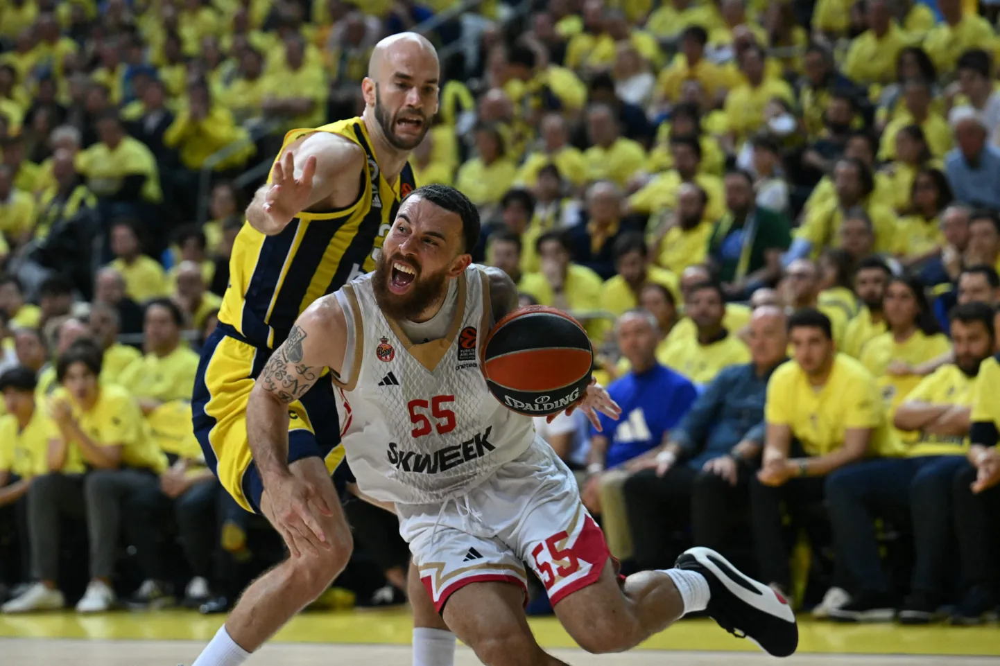 Mike James palliga.