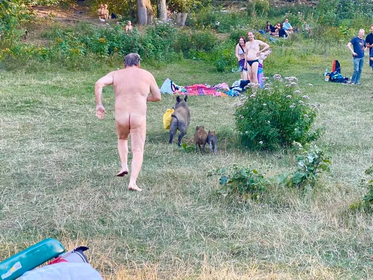 Raksta foto