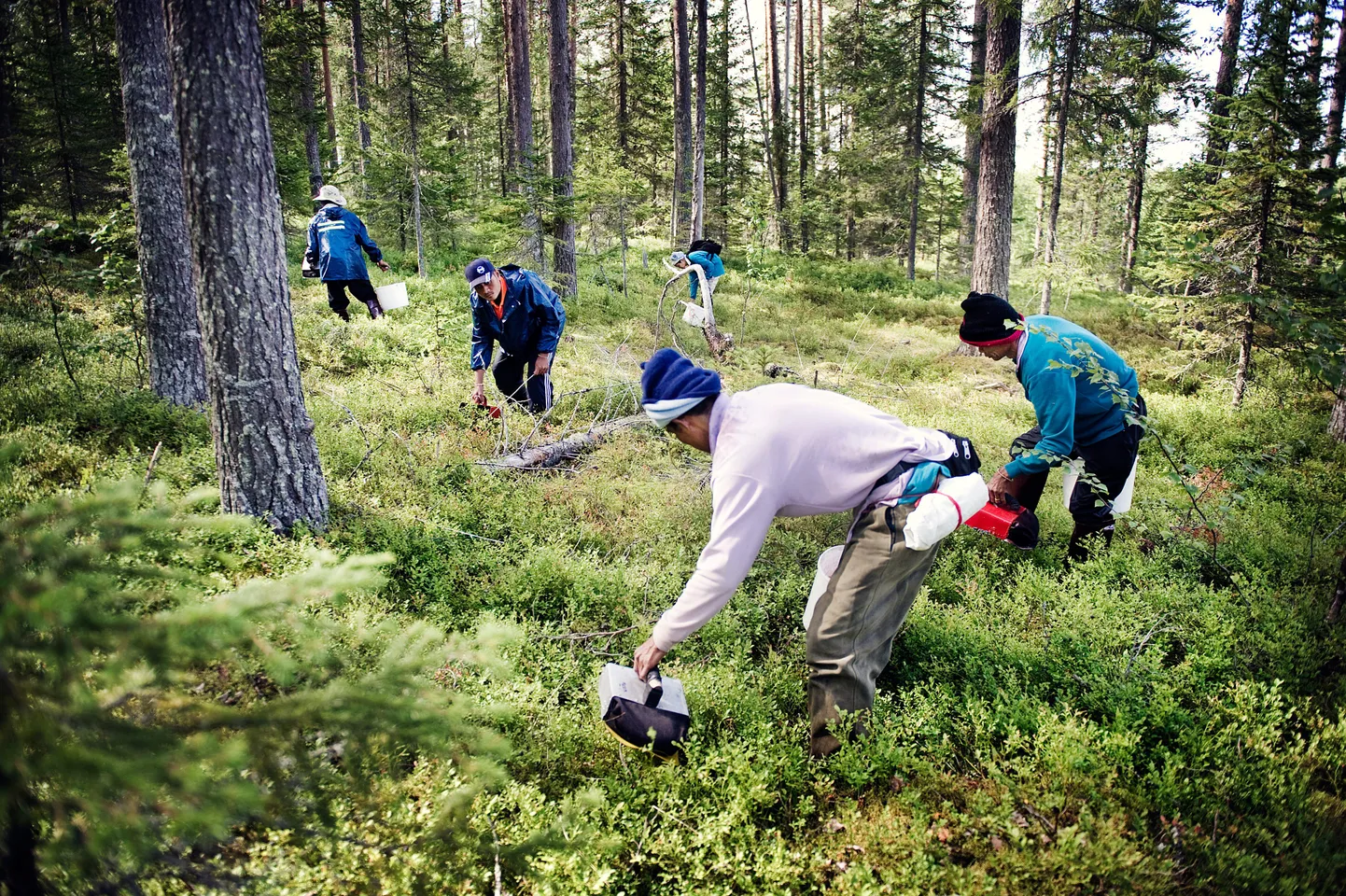 Illustratiivne foto.