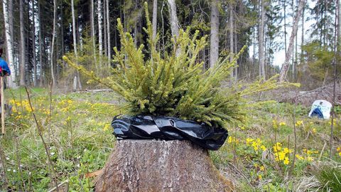 Estonia's unfulfilled rural revival program: A doctor's reflection