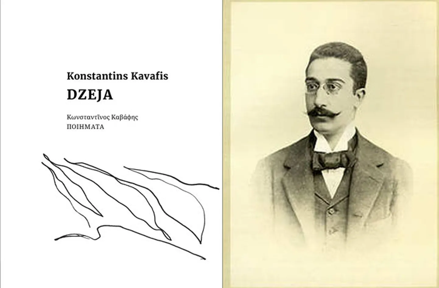Raksta foto