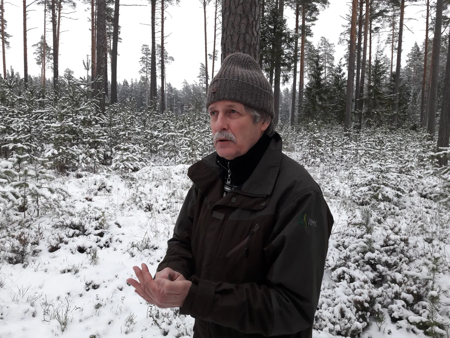 RMK Võrumaa metskonna metsaülema Agu Palo sõnul on meie puidutööstus arendatud maailmatasemele, pakkudes tööd ligi 40 000 inimesele.