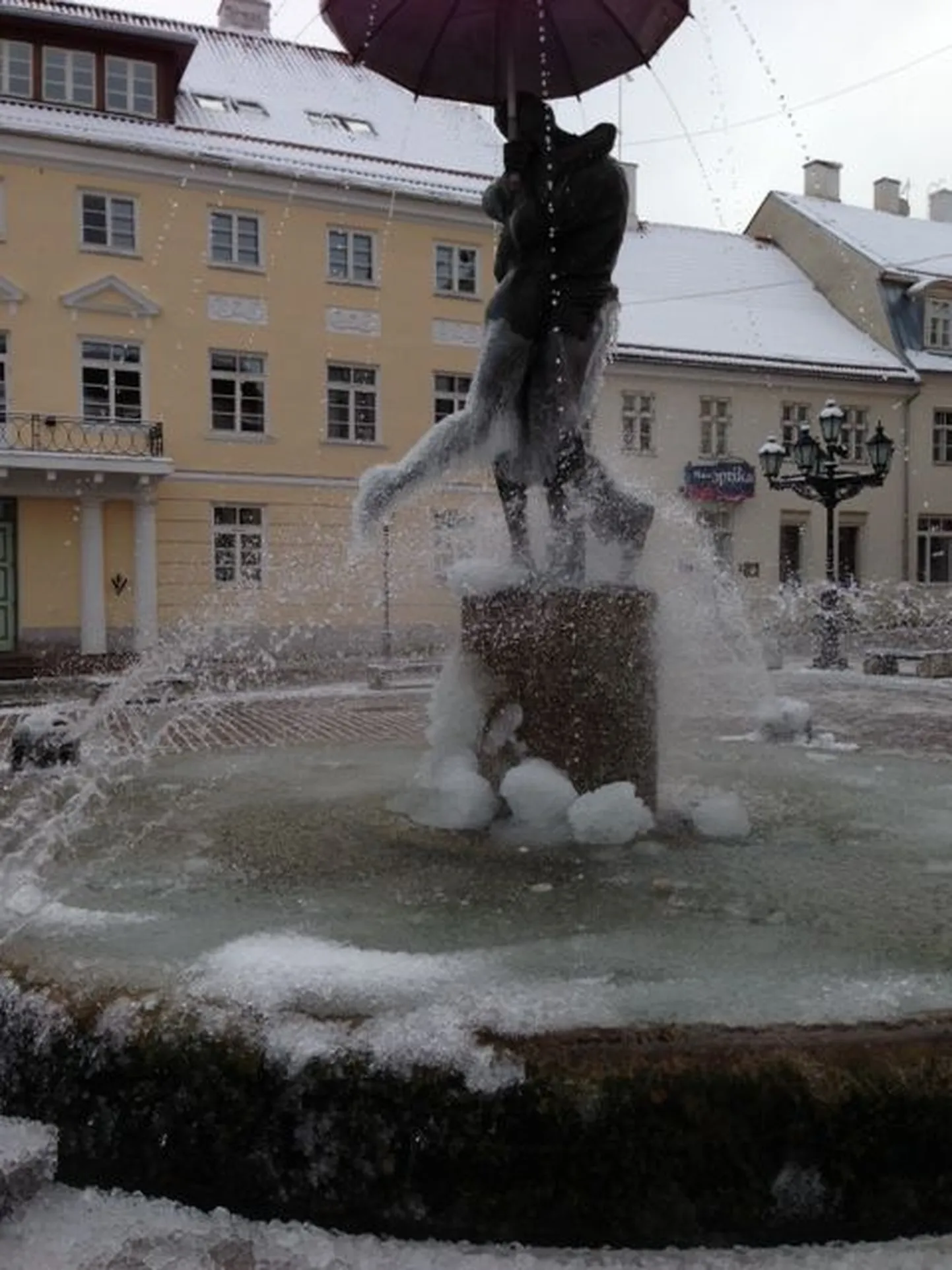 «Suudlevad tudengid»