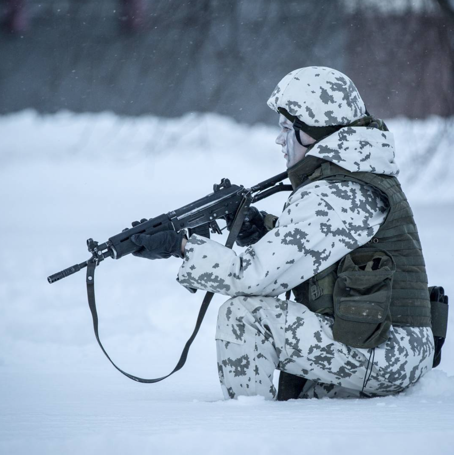 Hetk Soome iseseisvuspäevaparaadilt