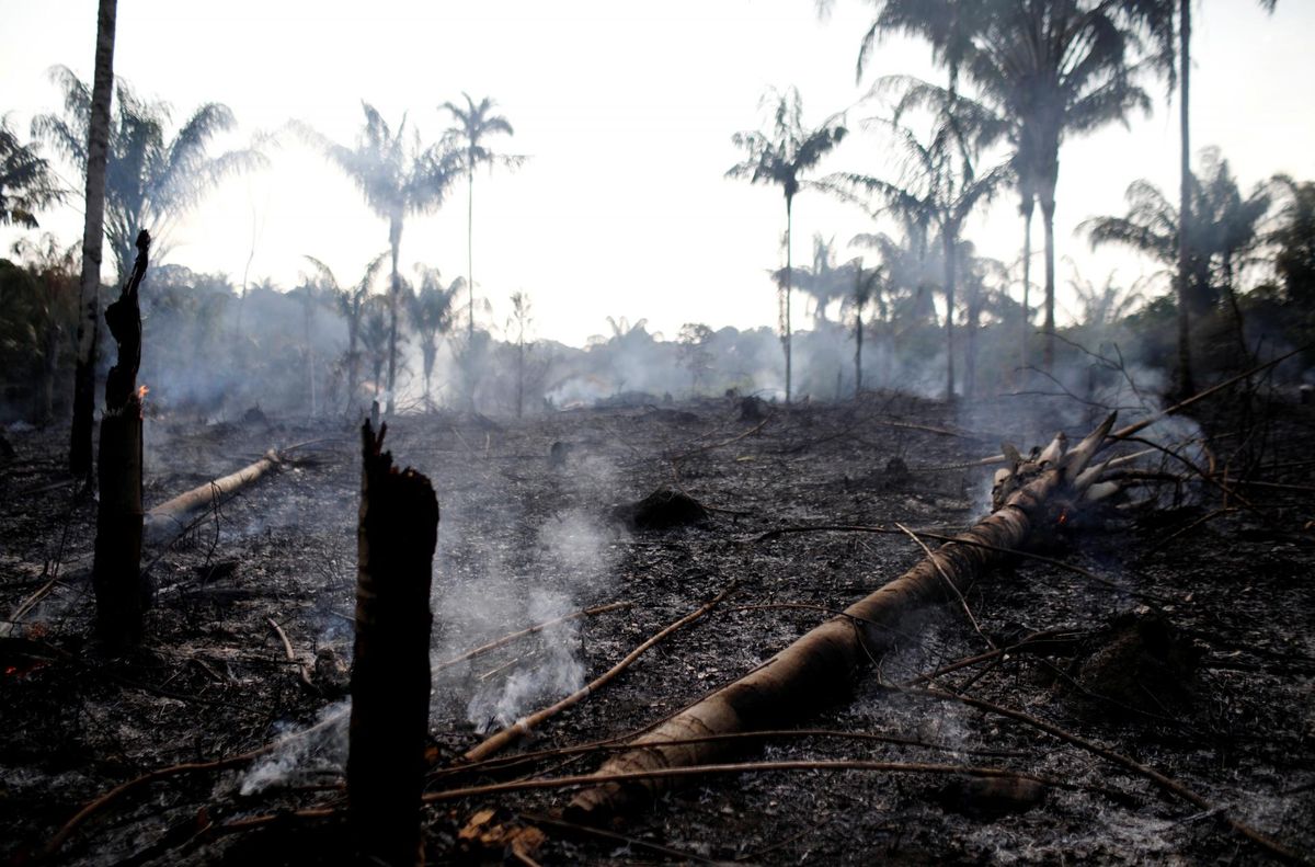 Hiljuti põllumaa saamiseks põlema pandud Amazonase džunglites avaneb trööstitu pilt. Äsjane vaatepilt Irandubas Amazonases.