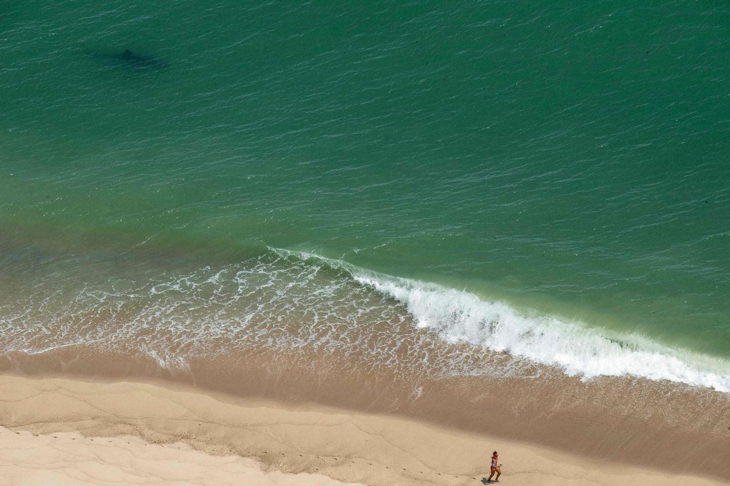 Suur valgehai ujumas vaid mõnekümne meetri kaugusel Cape Codi rannas jooksvast inimesest. 