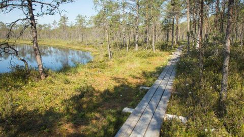 Matkarajal terviserikke saanud inimene vajas abi
