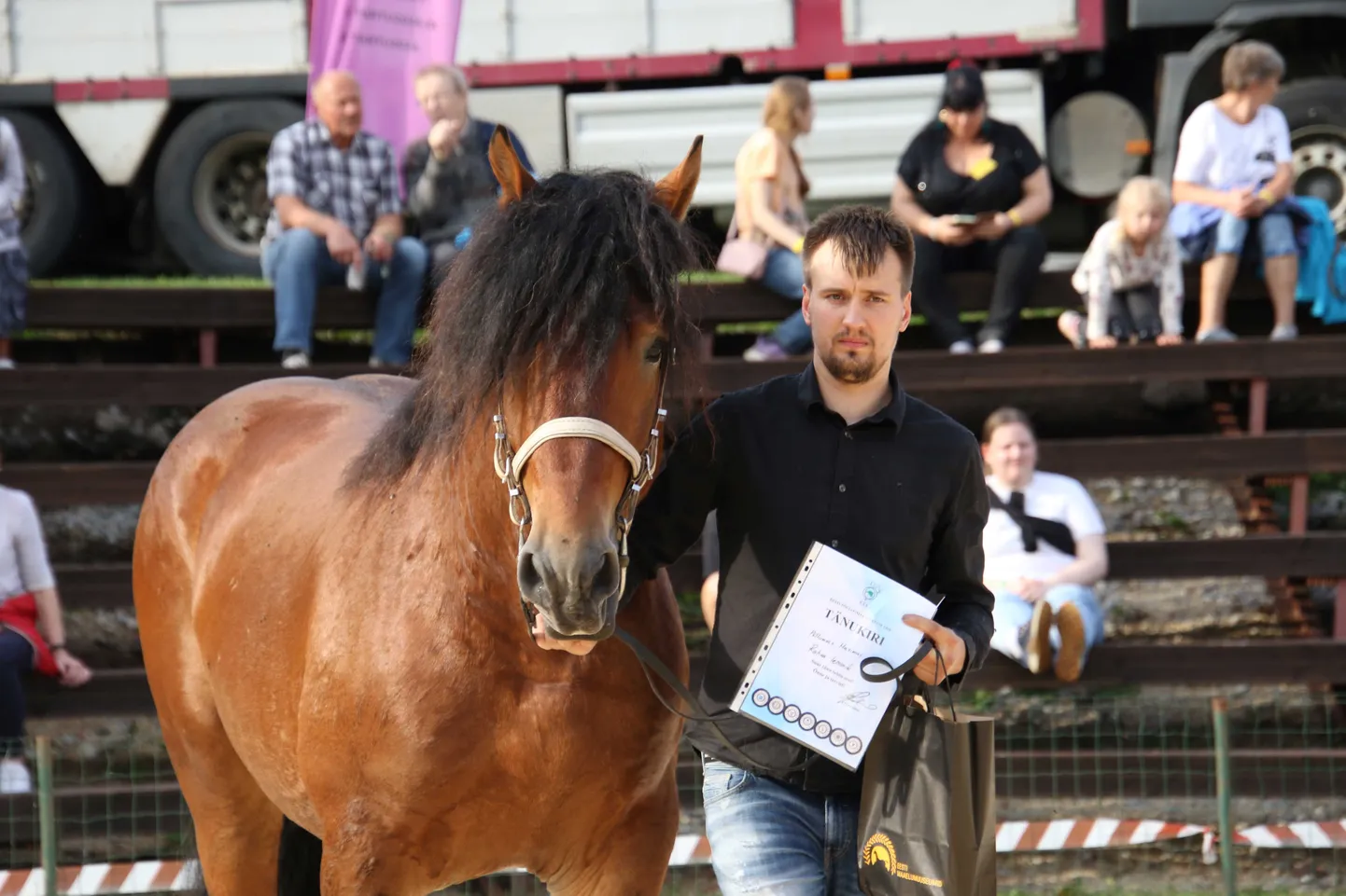 Publiku lemmikuks osutus raskeveohobune Põllumees Maximus.