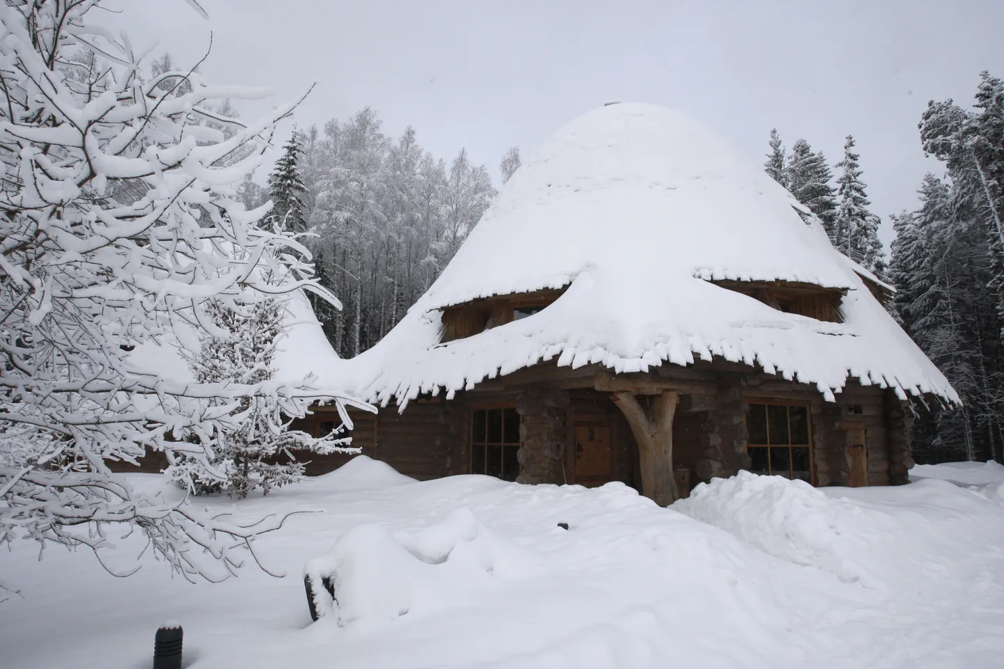 Pokumaa