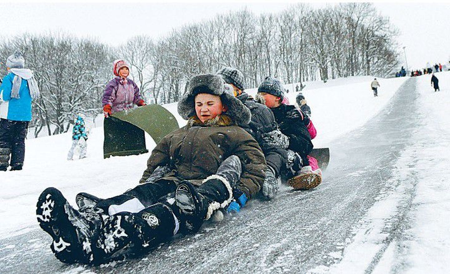 Neid Tallinna lauluväljaku nõlval kelgutavad lapsi talvekülmad ja lumi juba ei hirmuta.