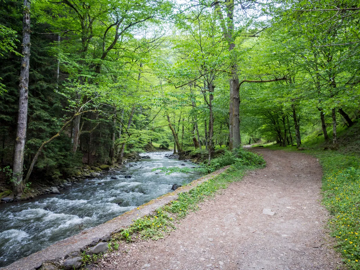 Bordžomi