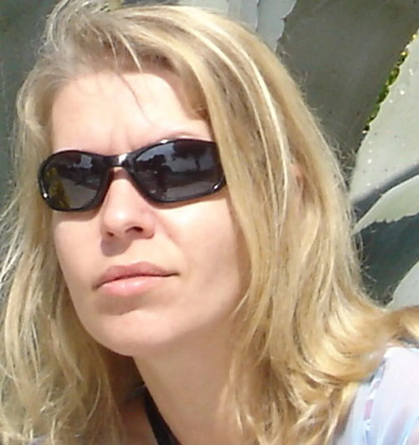 Raksta foto