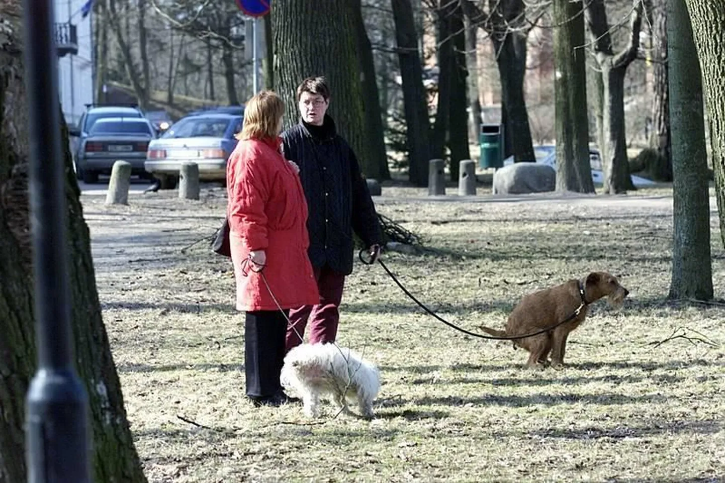 Собаковод, который не убирает за своим любимцем, получит штраф от Муниципальной полиции.