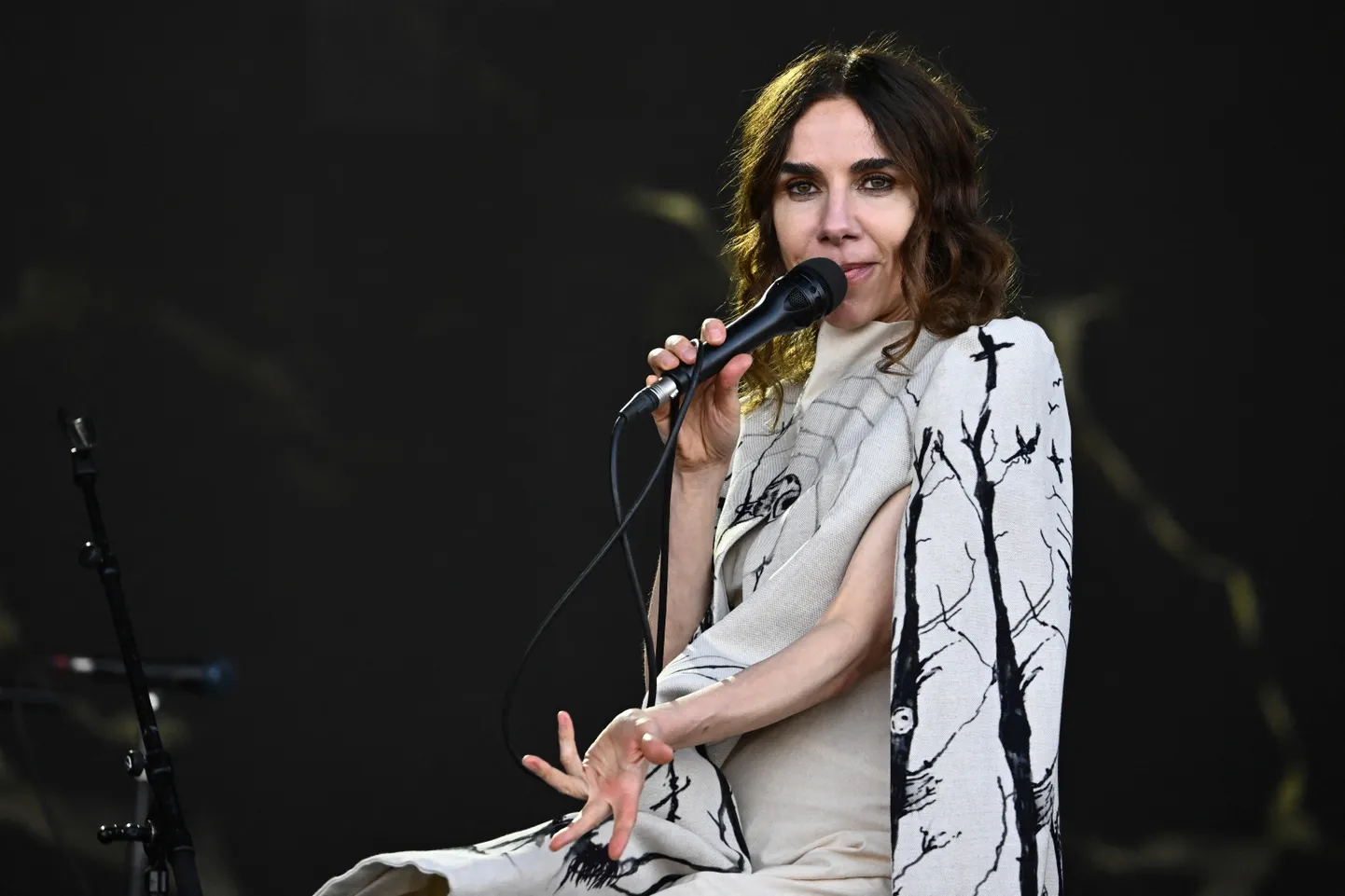 PJ Harvey