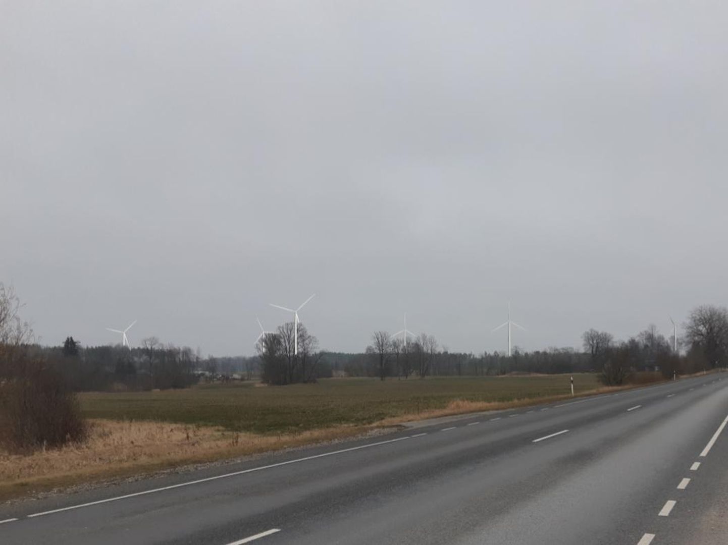 Vaade AS Enefit Greeni kavandatavale tuulepargile Valga–Uulu maanteelt Kilingi-Nõmme suunas.