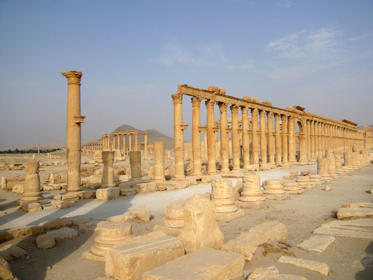 Palmyra.