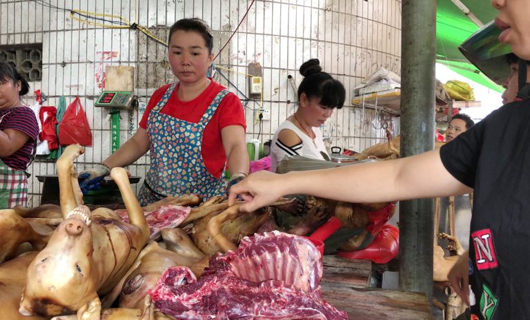 Festivali käigus Dongkou turult liha osta sooviv klient valimas endale sobivat lihatükki.