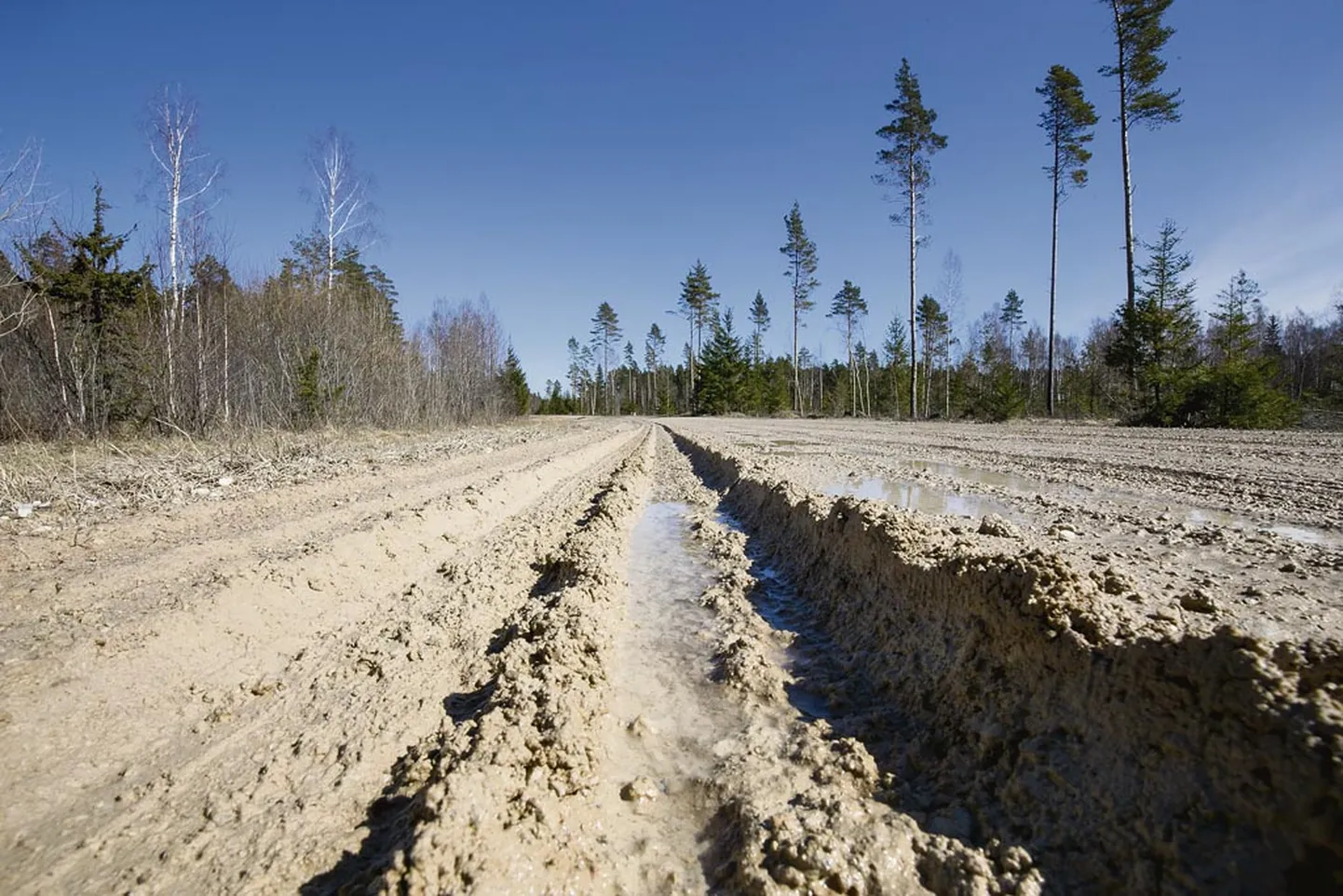 Riigitee Varbla ja Mõtsu vahel, mida kohalikud väldivad, kuid mis maanteeameti hinnangul vastab seisundinõuetele.