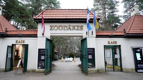 Rīgas zoodārza apmeklējums 1. aprīlī maksās vienu eiro