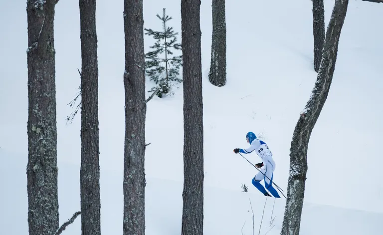 Karel Tammjärv 2019. aasta Otepää MK-etapil.