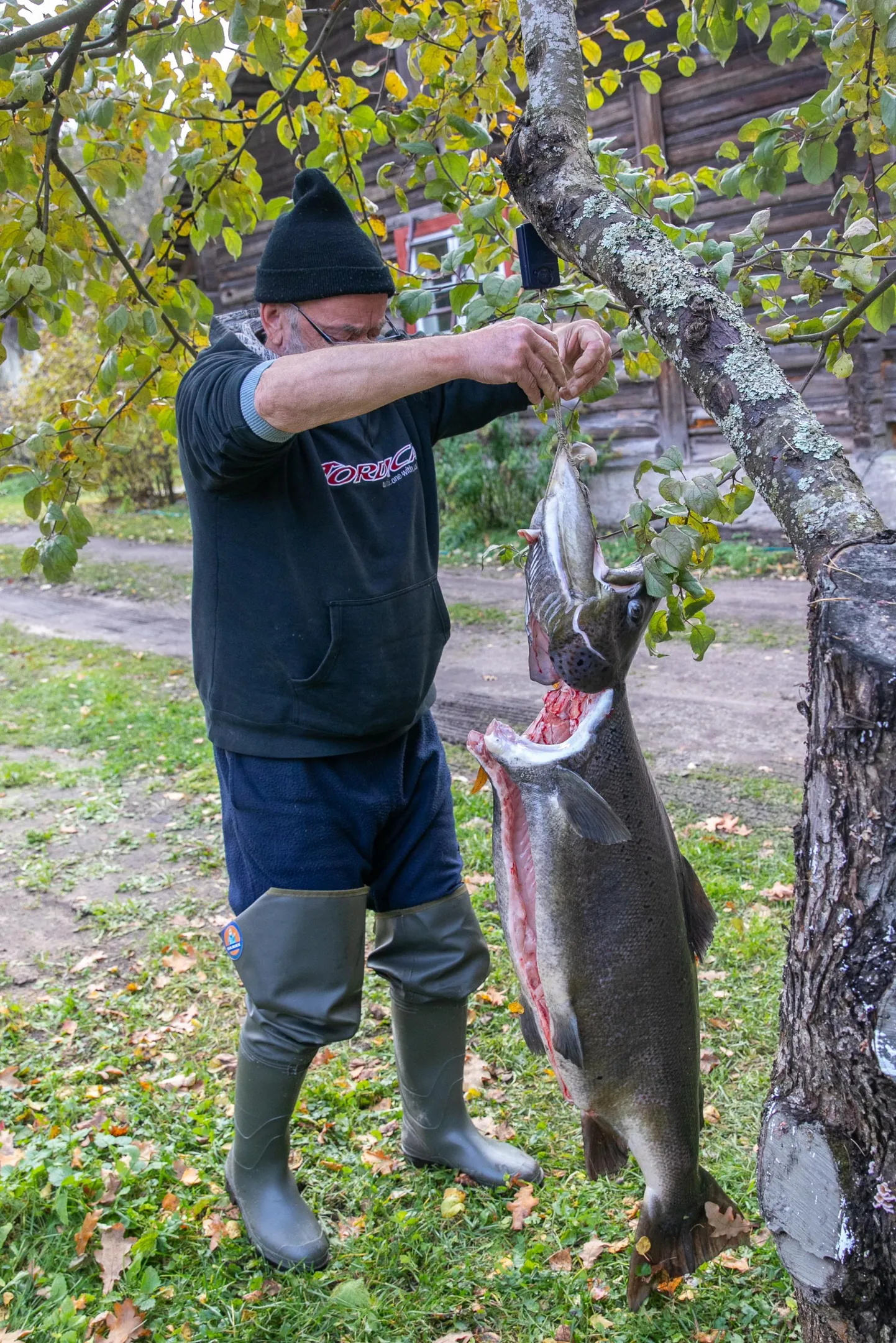 Pildil kalamees Mati oma saagiga, mis ka roogitud peast kaalus ligi 19,5 kilo.