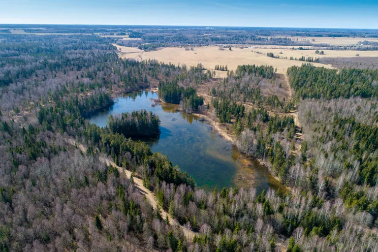 Piisupi järves on ka saar, kus vanasti skautide laagreid peeti.