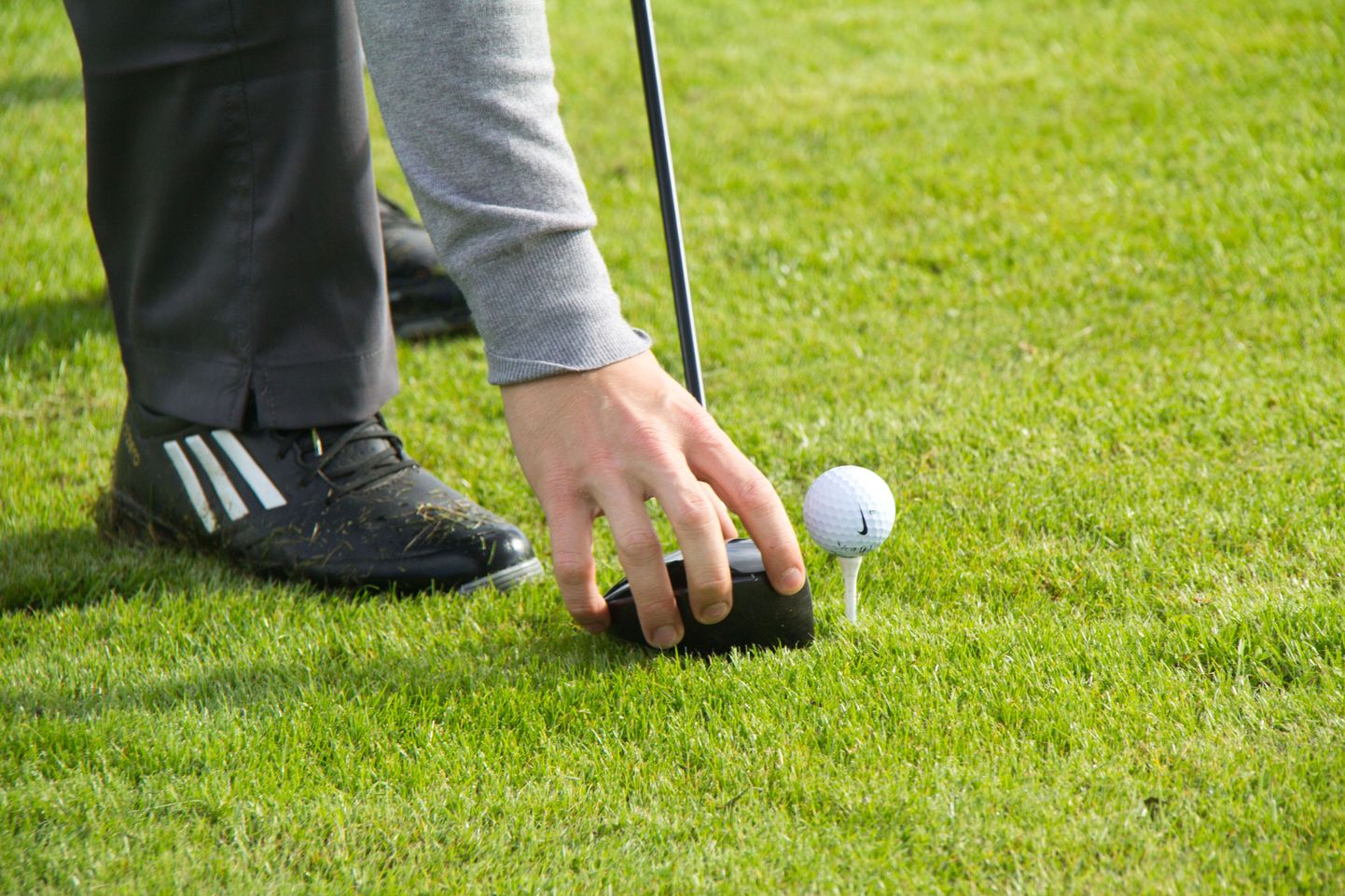 Pühapäeval saab Ojasaare golfiklubis tasuta golfi mängida. Foto on illustratiivne.