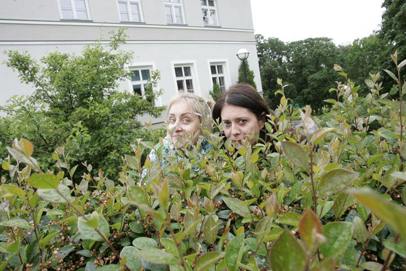 Ülle Lichtfeldt (paremal) ja Eili Neuhaus piiluvad põõsast teatrit, suve ja tulevasi töid. Mida on oodata publikul, saab välja lugeda lemmikute pilgust ja naeratusest.