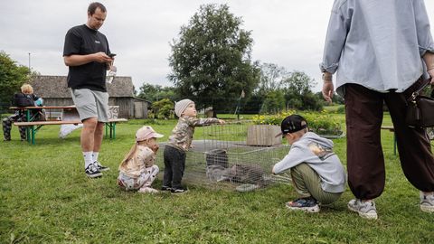 Vaata, mis olid avatud talude päeva popimad talud