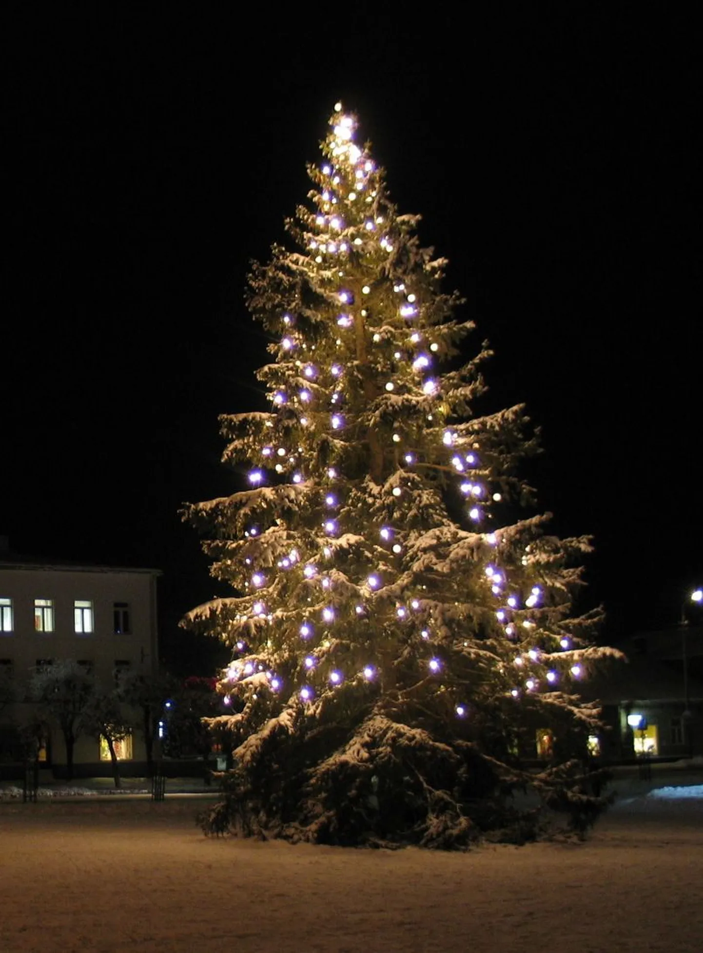 Rakvere jõulukuusk.