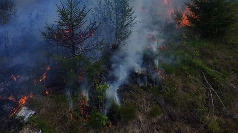ФОТО ⟩ В Ида-Вирумаа горит лес
