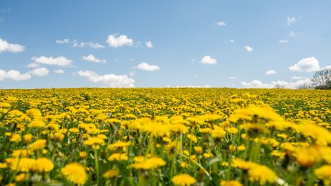 Otrdien gaisa temperatūra turpinās paaugstināties