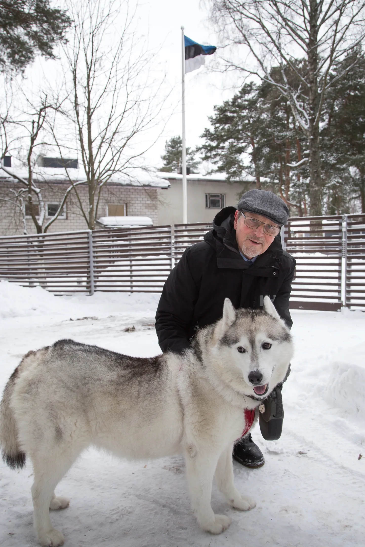 Jüri Trei teeb hommikul spordimehele kohaselt koeraga jalutades kümme kükki. Siberi haski tõugu koera nimi on Dio (itaalia keeles jumal), kutsutakse Mio Dio (itaalia keeles minu jumal). Lemmik leevendab tütarde igatsust 13 aastat tagasi lahkunud kassi järele