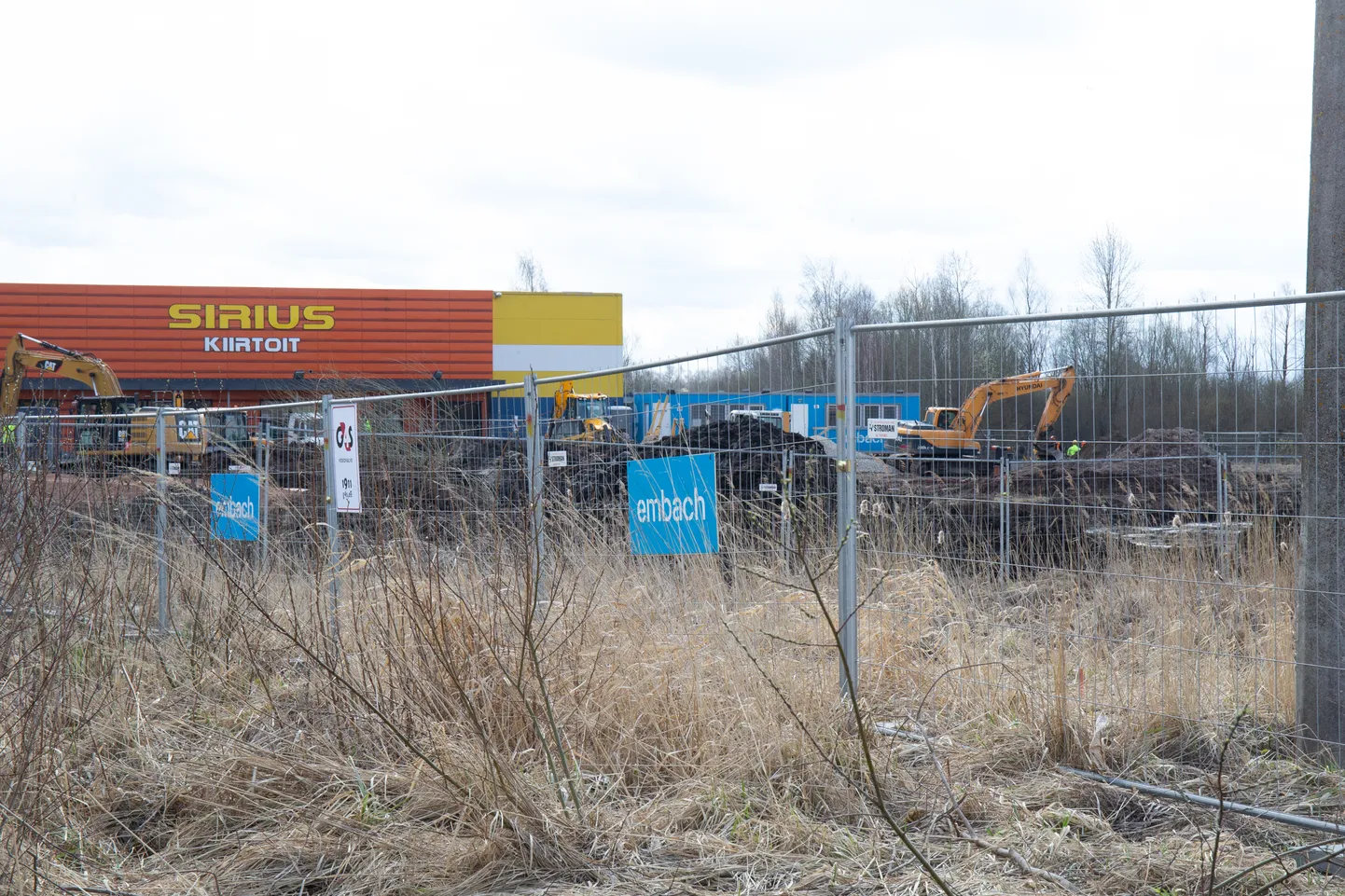 Annelinna keskuse juurdeehitusega jätkatakse, sest kaitsealuseid taimi sealt ei leitudki.