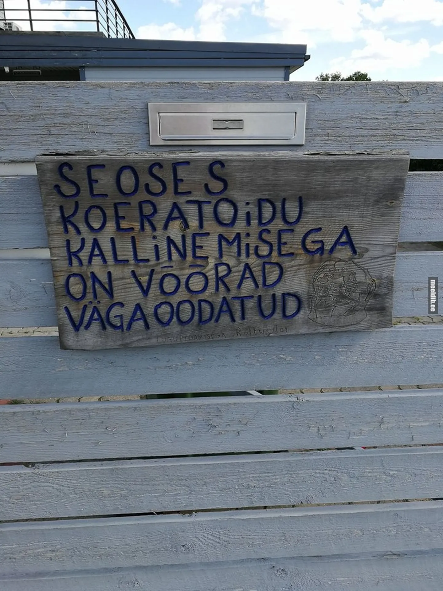 Artikli foto