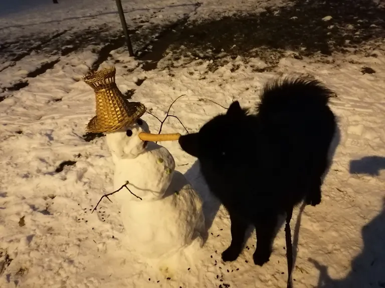 Щенок Филипп