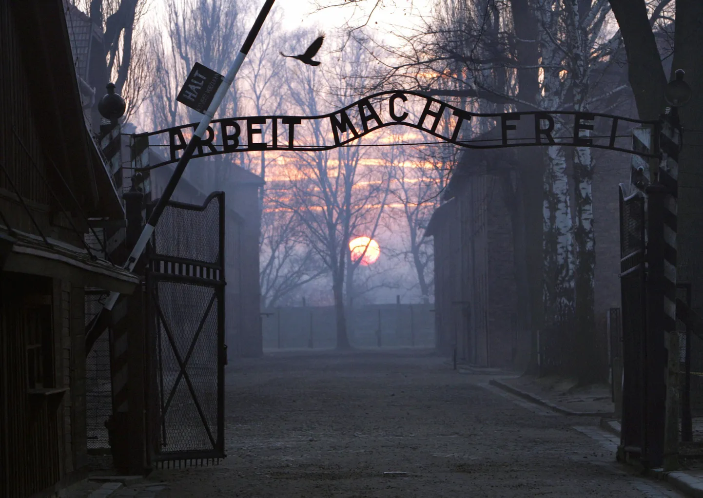 (FILES) This File Picture taken on January 13, 2005 shows the main gate entering the Nazi Auschwitz death camp at sunrise.   Thieves have stolen the infamous sign at the entrance of Poland's Nazi-era concentration camp, Auschwitz, "Arbeit macht frei" ("Work will set you free"), police and museum staff reported on December 18, 2009. "The inscription was stolen early this morning," museum spokesman Jaroslaw Mensfeld told AFP.
 AFP PHOTO/JANEK SKARZYNSKI