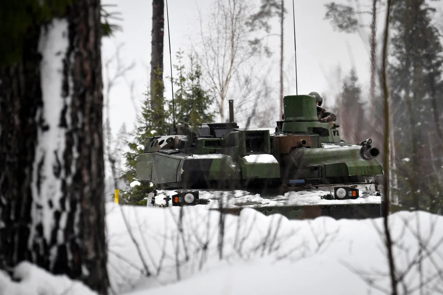 Leclerci tank Eesti lumises metsas.