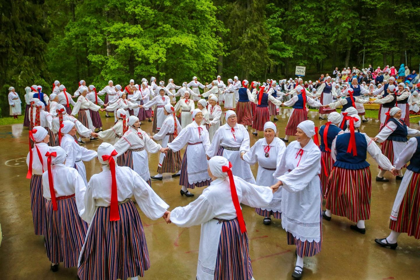 2019. aasta Lõuna-Eesti memme-taadi suvepidu sai teoks Tõrvas.