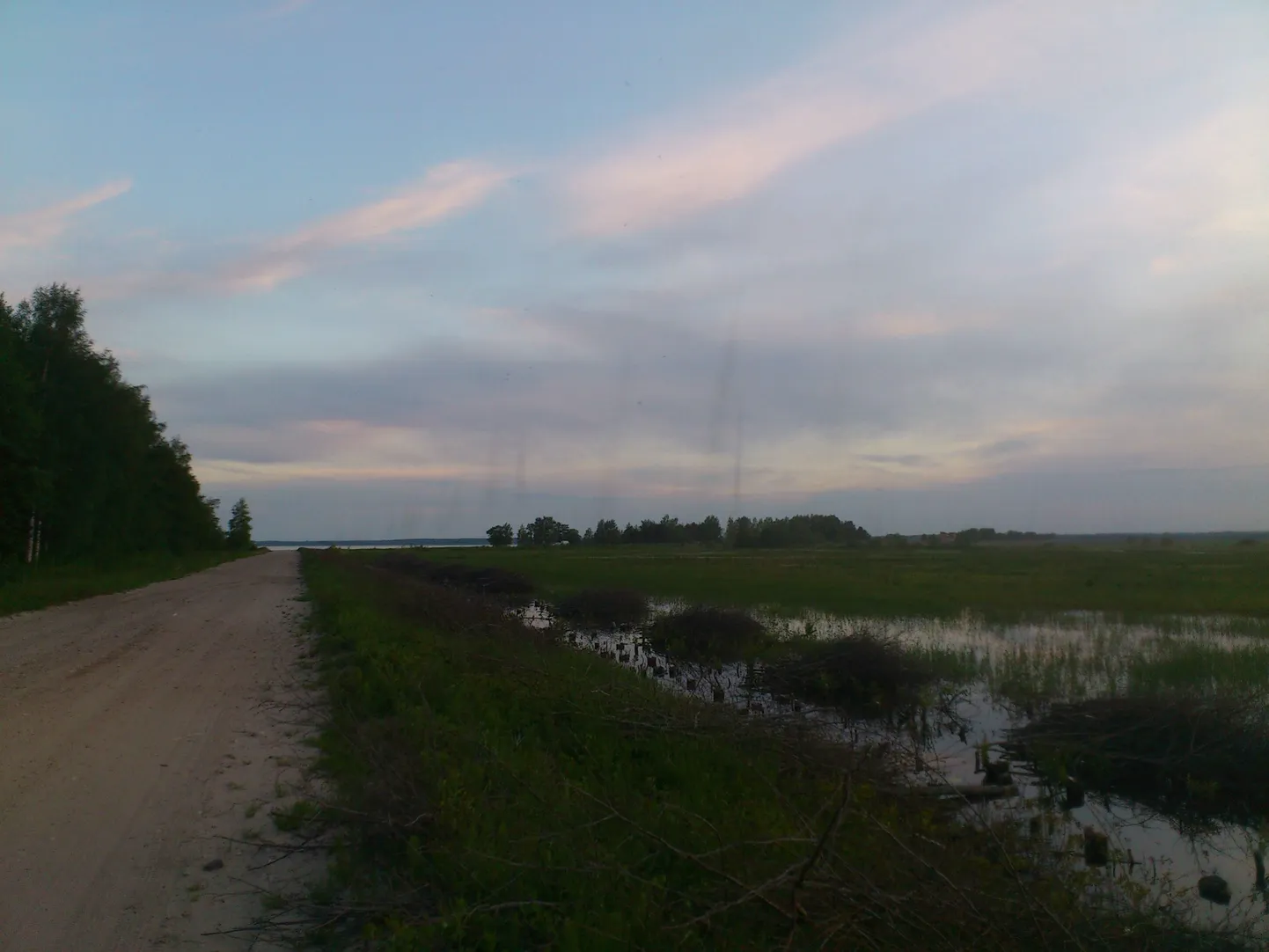 Pärnumaal Audru vallas Valgerannas kõrgusid eile õhtul põllul sääskedest sambad.