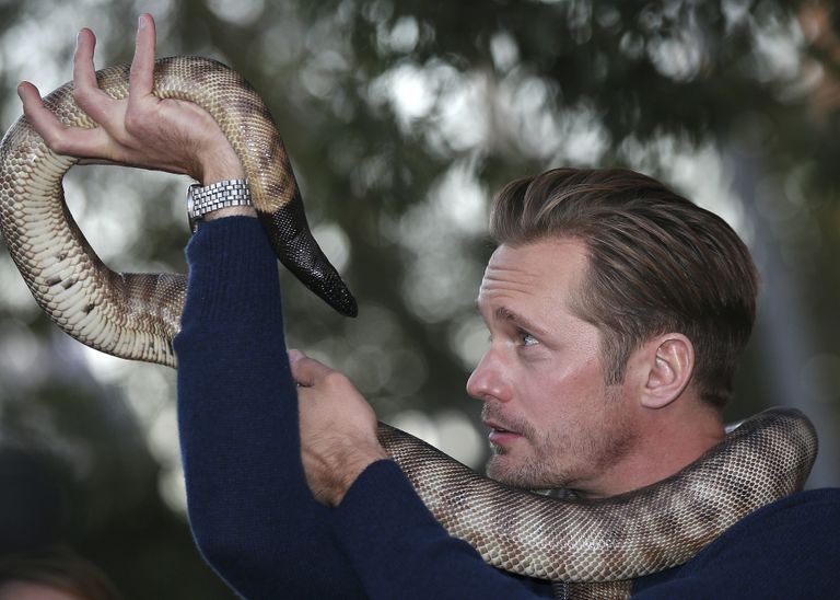 Alexander Skarsgård maoga Austraalia loomaaias «Tarzanit» promomas
