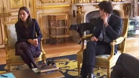 Упс! Новый питомец президента Франции справил нужду на глазах у изумленных министров (ВИДЕО)