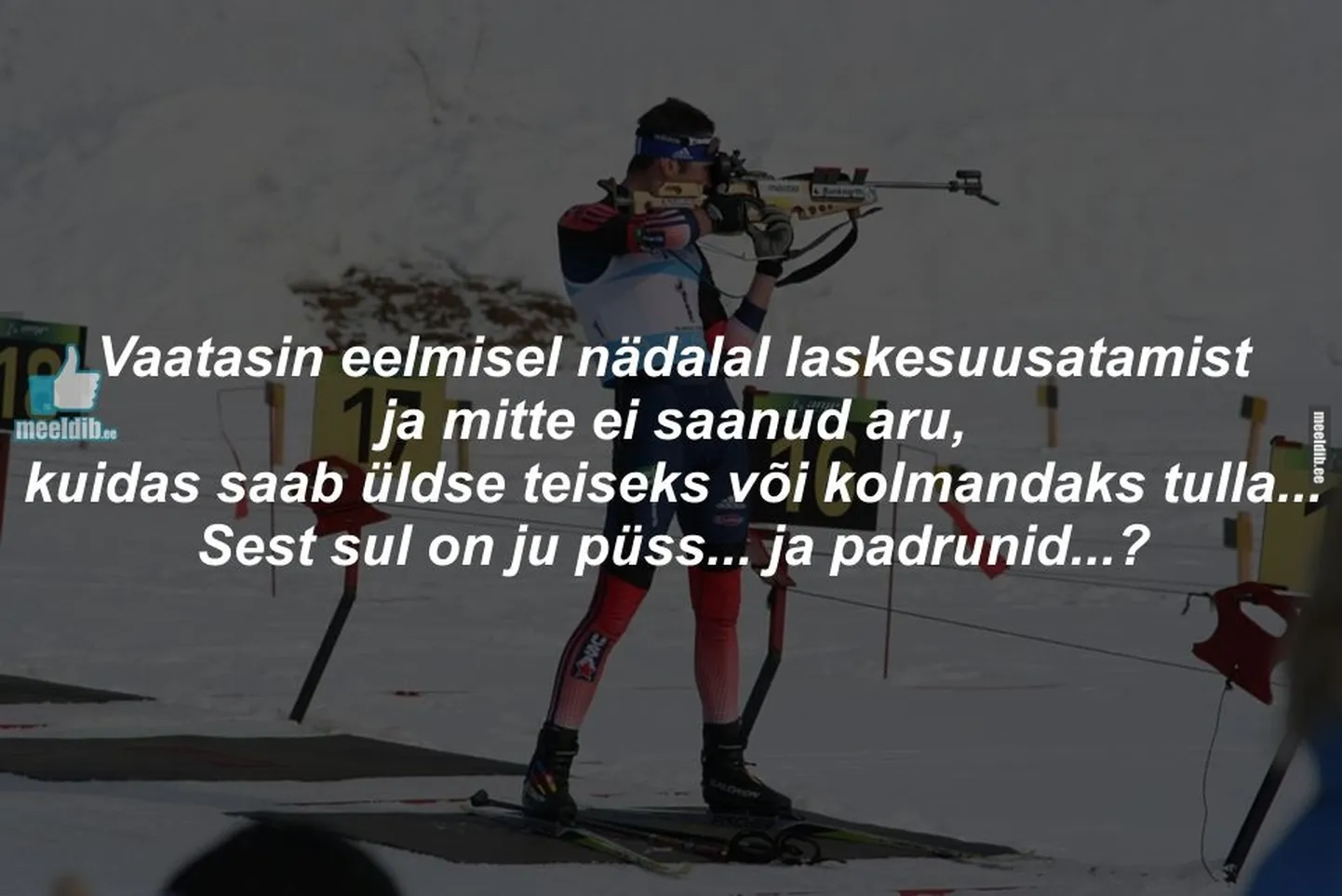 Artikli foto