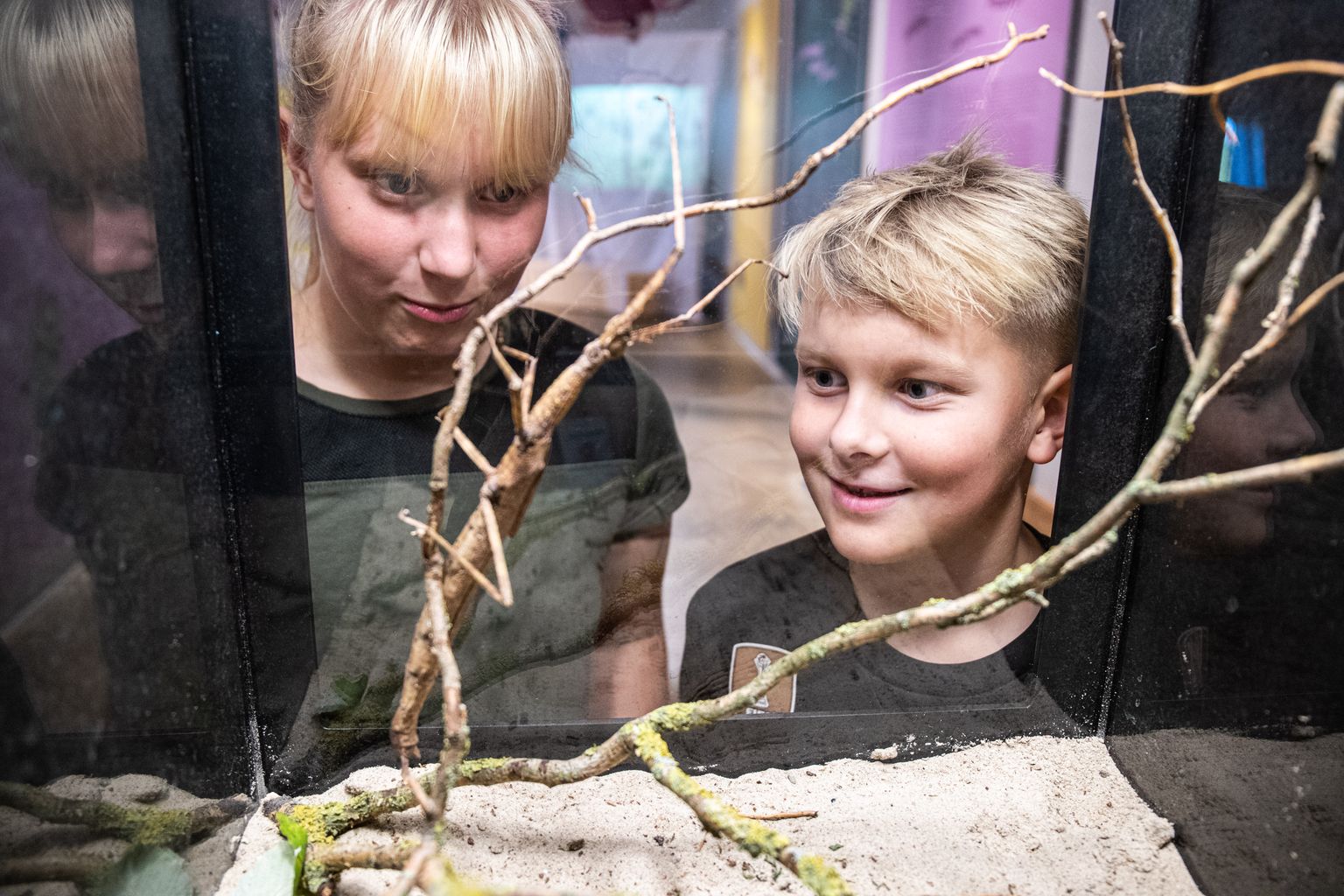 Tallinna loomaaias toimunud putukanäitust käisid kaemas Postimees Juunior reporterid Kirsi ja Kaspar Koel.