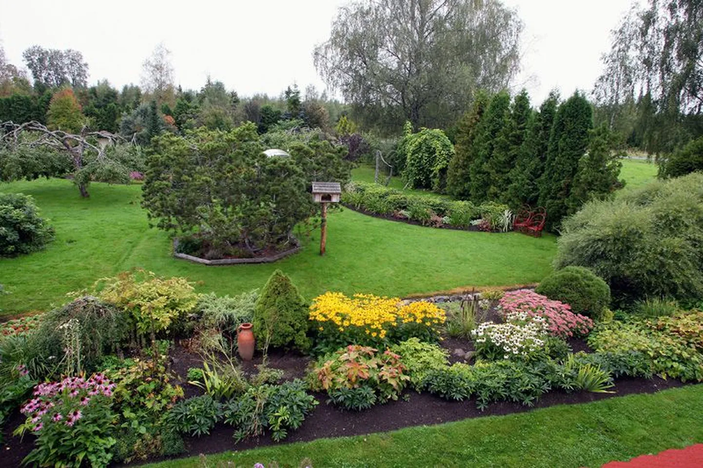 Mõdriku iluaed ja Niine keskus jagavad aiatarkust.