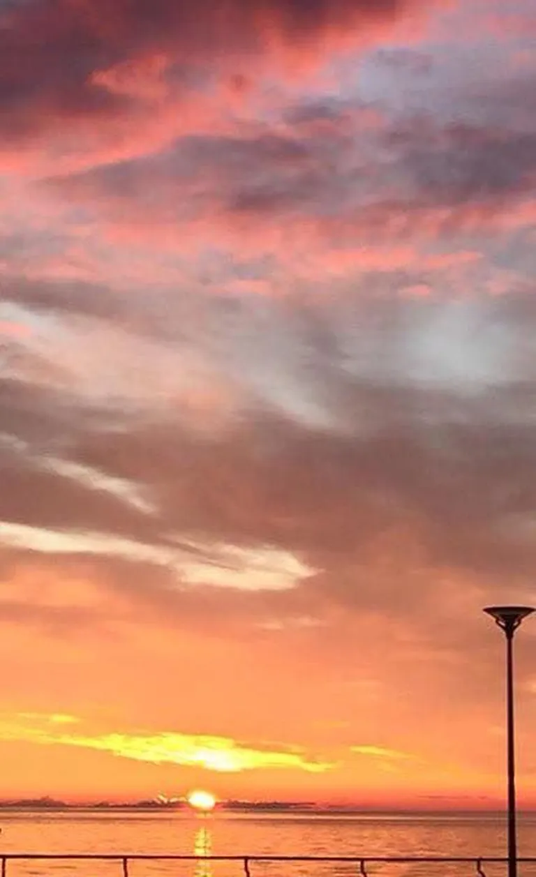 Artikli foto