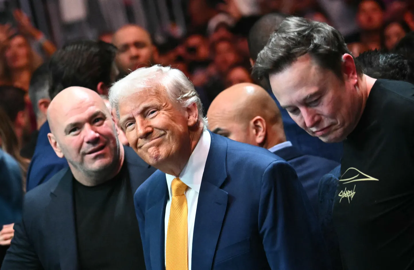USA president Donald Trump ja Tesla omanik Elon Musk. Foto on illustratiivne.